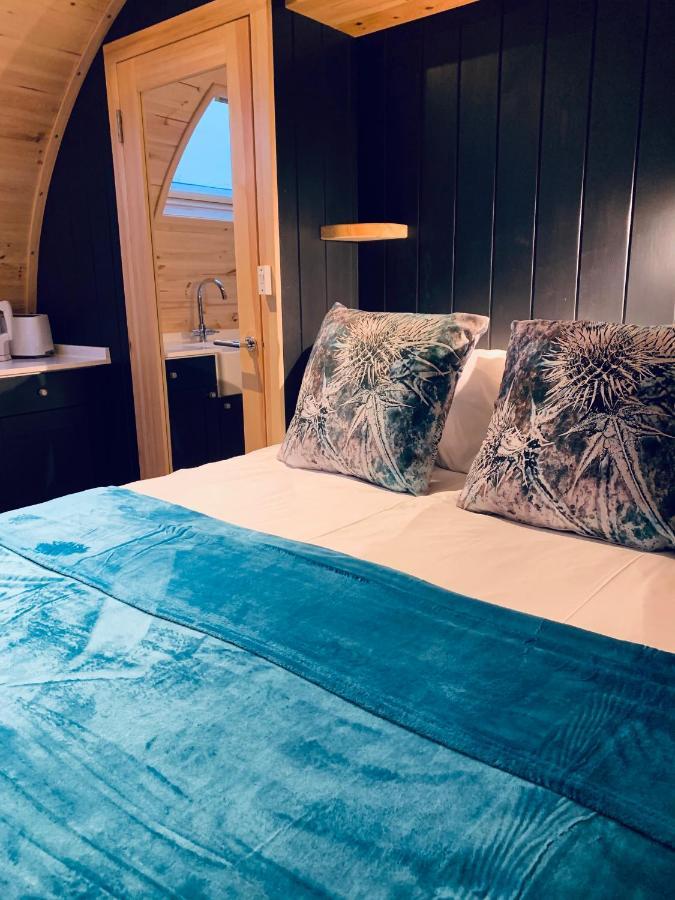 Thistle Pod Farm Stay With Hottub Sleeps 2 Galston  Zewnętrze zdjęcie